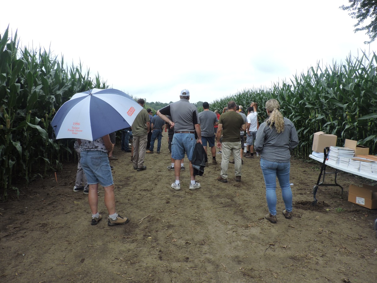 Updated summer meeting and tour info for the Thames Valley @OntarioSoilCrop region